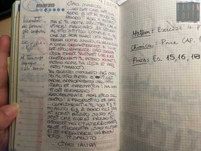 E, a differenza dei social network, dove si tende a scrivere e a pubblicare solo ci� che fa apparire perfetti e felici, i diari erano pieno di sfoghi, di racconti di brutte giornate, di confessioni...